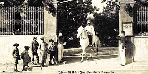 1736- Blida - Quartier2 de la Remonte
